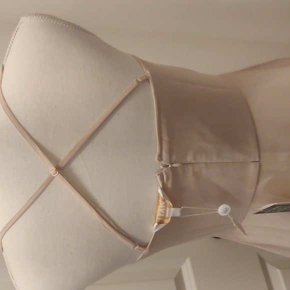 WAYF The Wesley Cowl Neck Chiffon Gown in Champagne sz Small - Picture 7 of 13